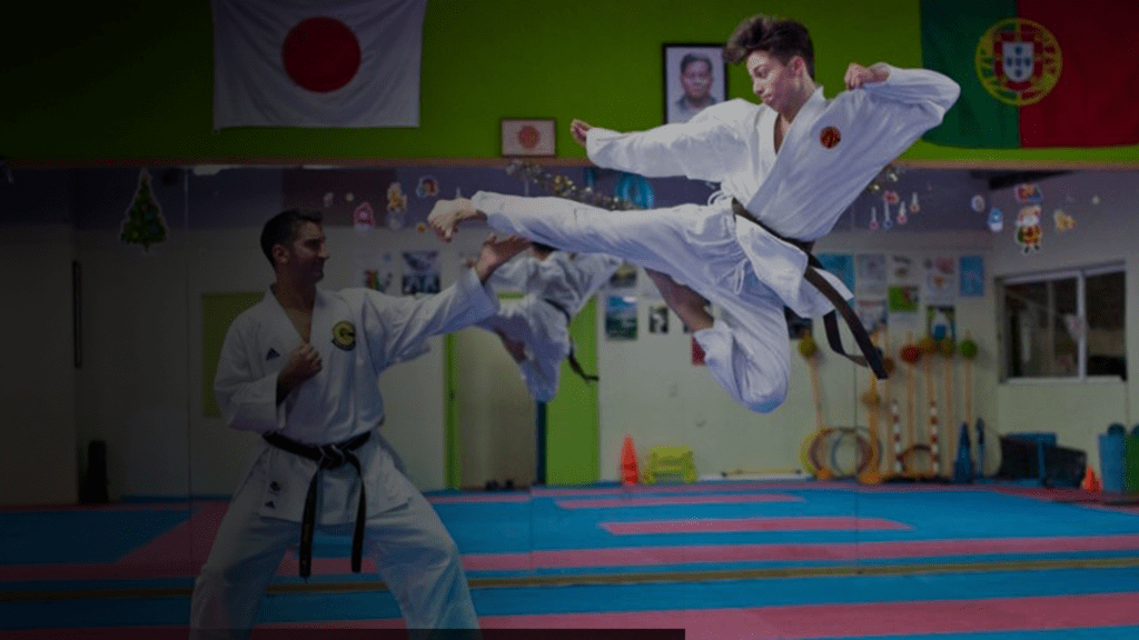 O que é o Karate Goju-Ryu?